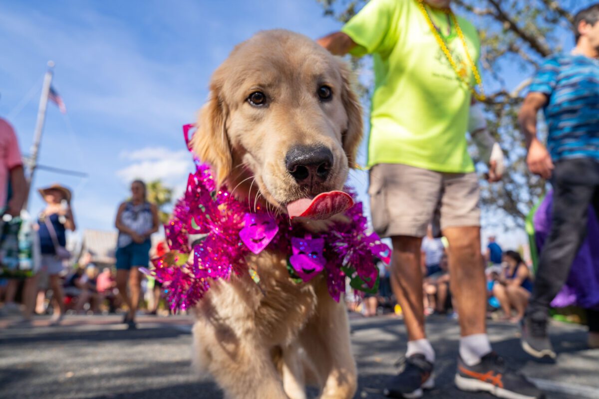 entertainment-lake-sumter-landing-17