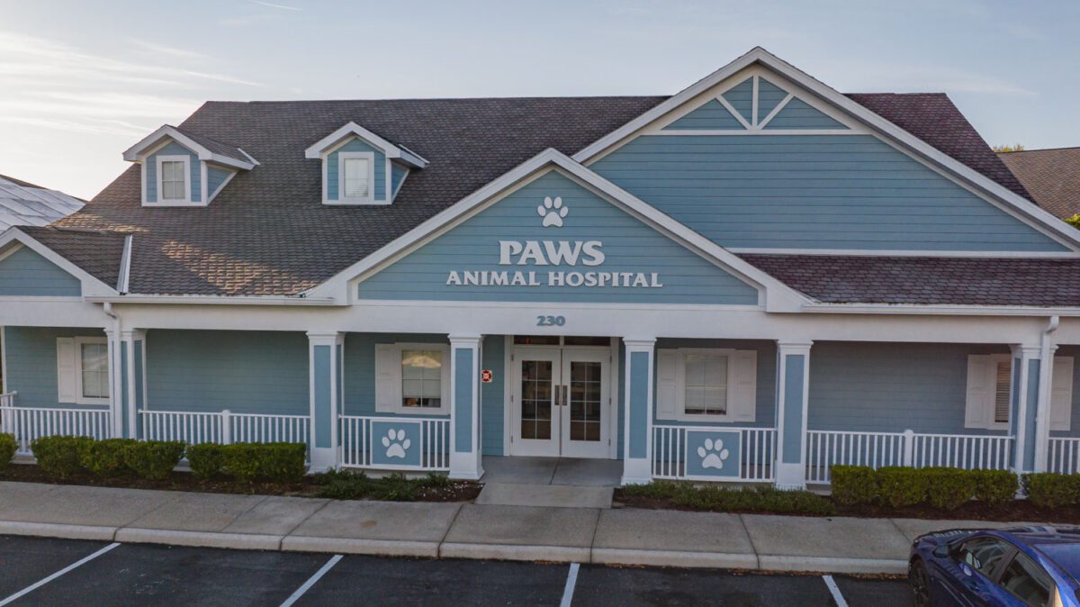 laurelmanorprofessionalplaza_2023-2