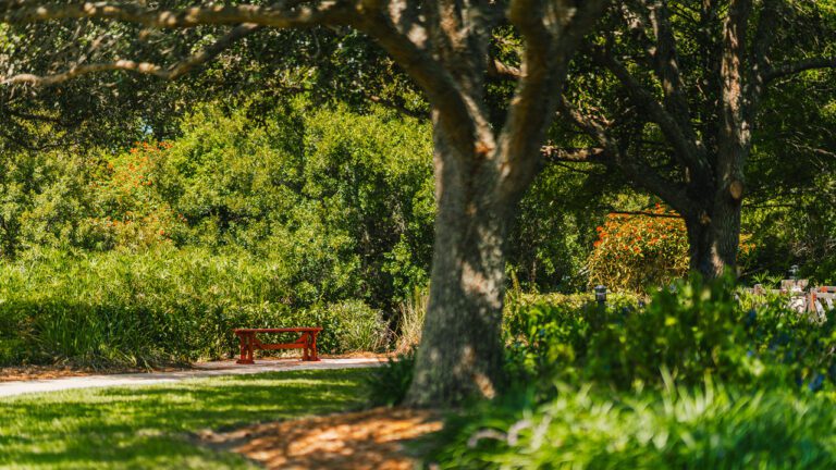 trails-parks-wilkerson-creek-bench