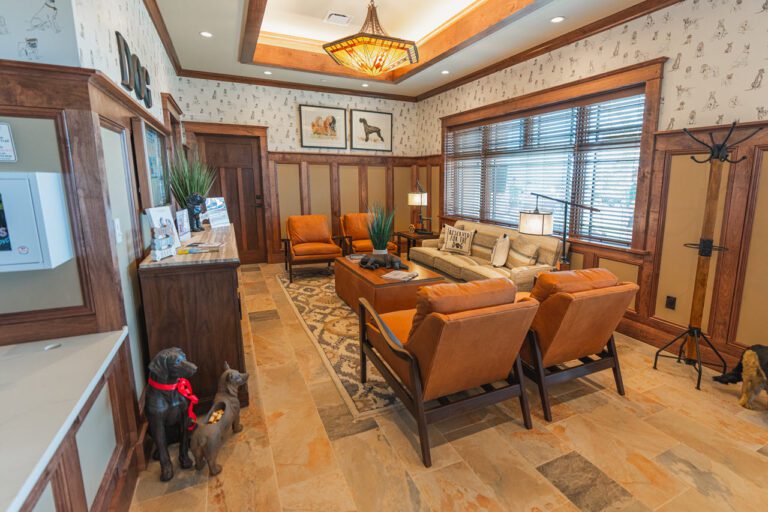 recreation-village-center-saluki-dog-living-room