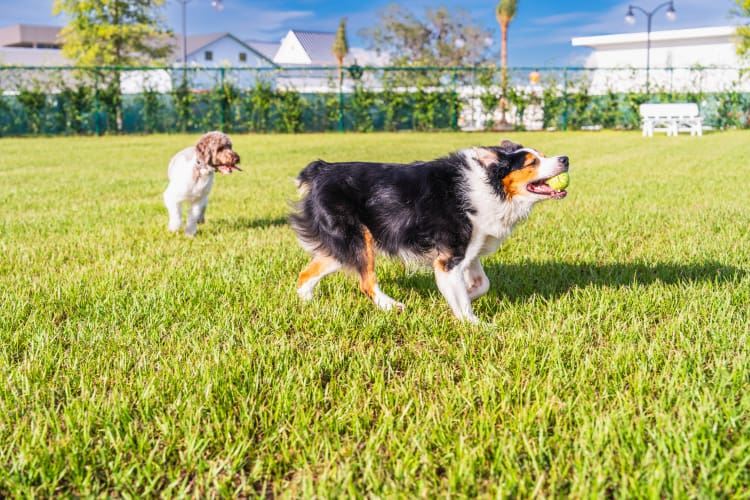 eastport-recreation-olympia-rec-sport-58