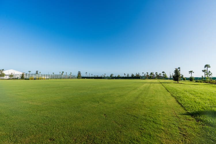 olympia-preview-outdoor-amenities-multipurpose-field