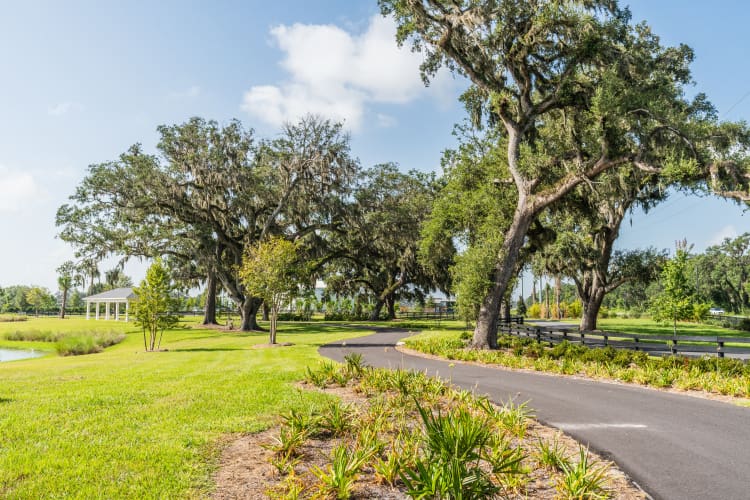 olympia-trails-nadine-path