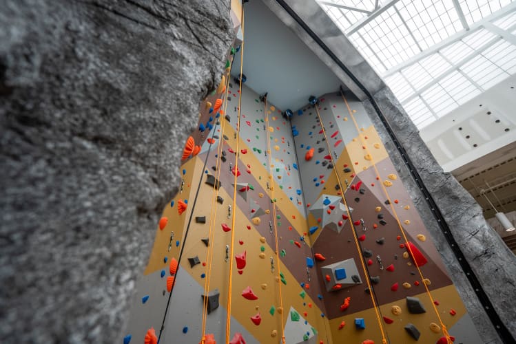 eastport-olympia-rock-climbing-wall-install-56