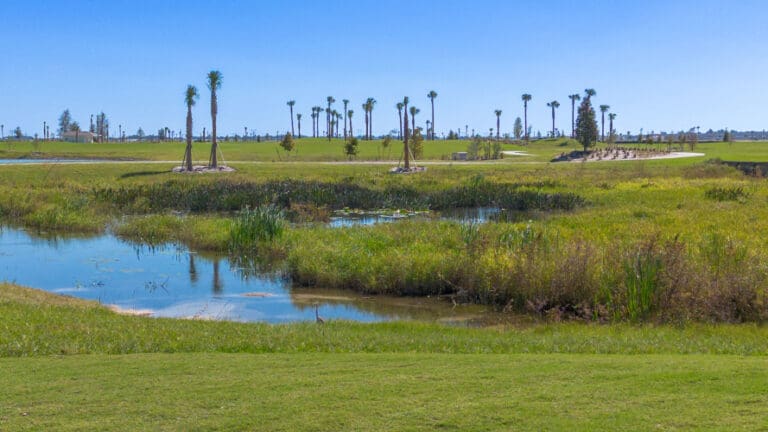 eastport-golf-honeysuckle-aerials-6