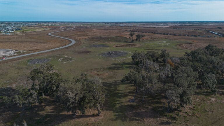 the-palms-championship-golf-2026-4