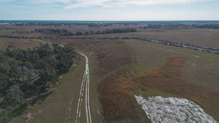 the-palms-championship-golf-2026-7