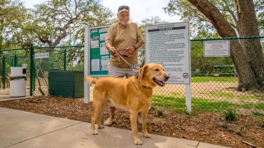 homes-lofts-paradise-recreation-dog-park